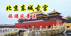 日屁眼视频中国北京-东城古宫旅游风景区